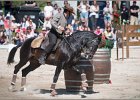 Pferd International 186